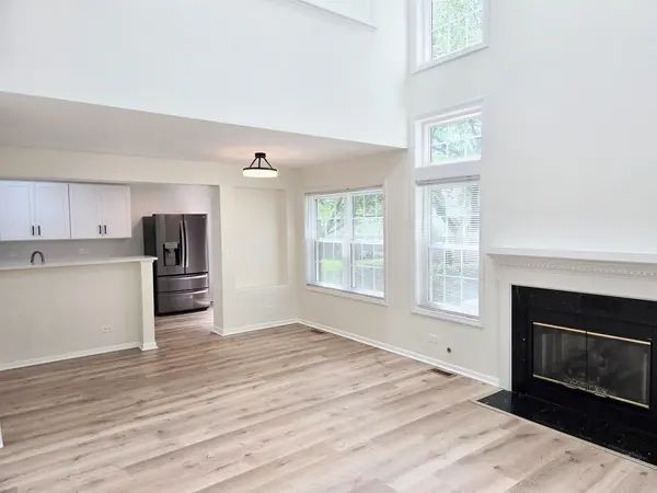 168 Holmes WAY, Schaumburg, IL 60193