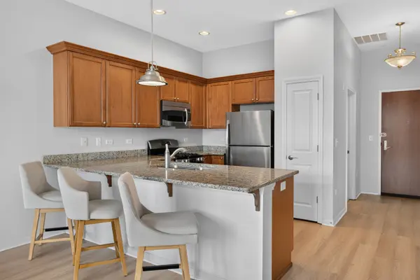50 N Northwest HWY #204, Park Ridge, IL 60068