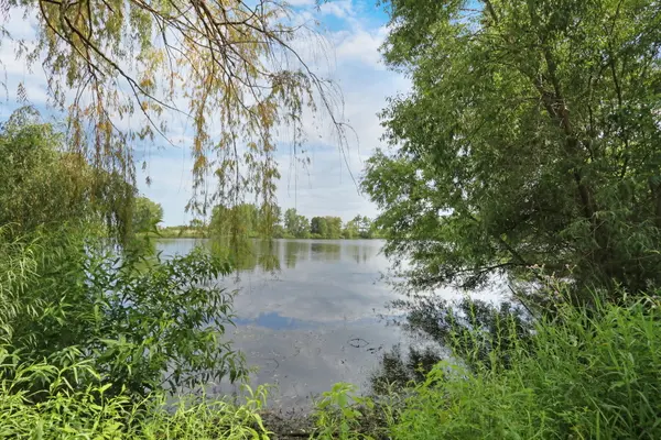 1015 Timber Lake DR, Antioch, IL 60002