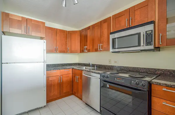 405 N WABASH AVE #1301, Chicago, IL 60611