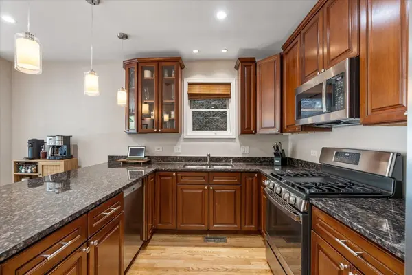 1517 N Bosworth AVE #1, Chicago, IL 60642