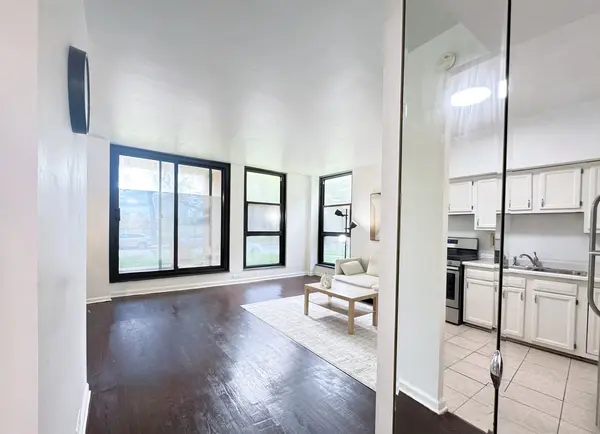 2921 S Michigan AVE #109, Chicago, IL 60616