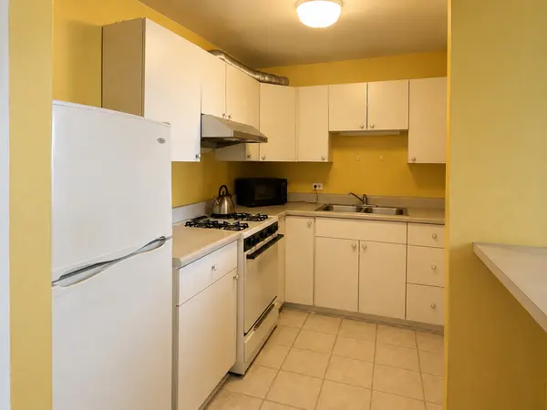 2901 S MICHIGAN AVE #1704, Chicago, IL 60616