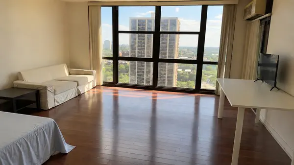 2901 S MICHIGAN AVE #1704, Chicago, IL 60616