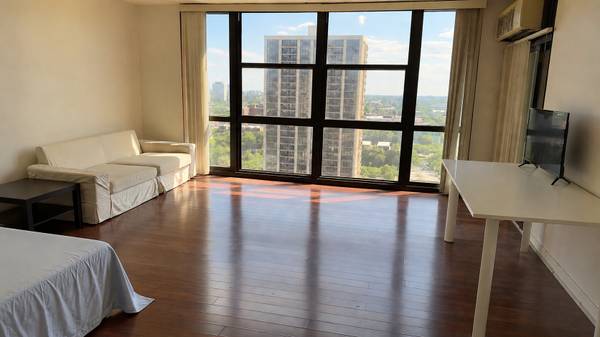 2901 S MICHIGAN AVE #1704, Chicago, IL 60616