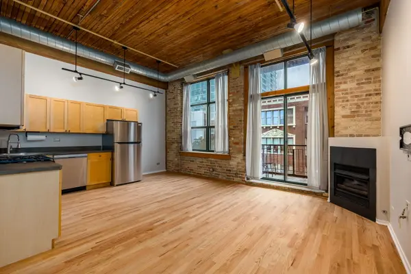 1801 S MICHIGAN AVE #402, Chicago, IL 60616