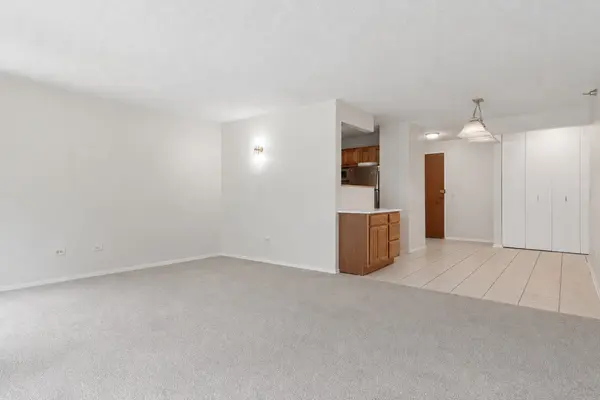 480 N MCCLURG CT #413, Chicago, IL 60611