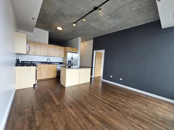 1620 S Michigan AVE #322, Chicago, IL 60616