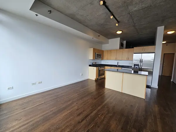 1620 S Michigan AVE #322, Chicago, IL 60616