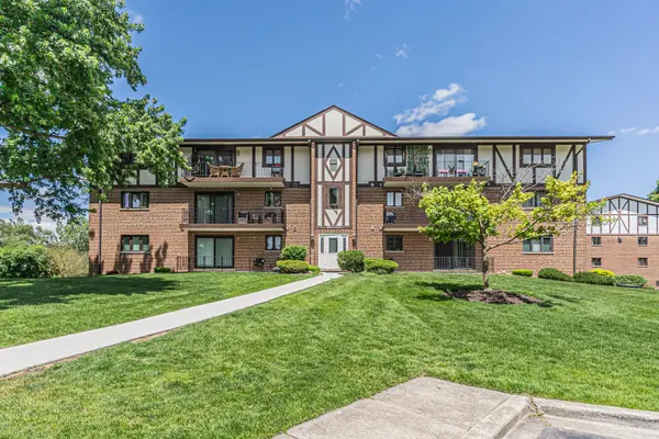 11030 S Theresa CIR #3A, Palos Hills, IL 60465