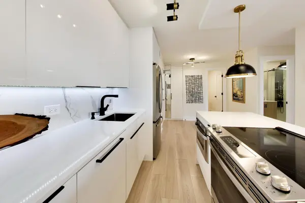 1355 N Sandburg TER #1002D, Chicago, IL 60610