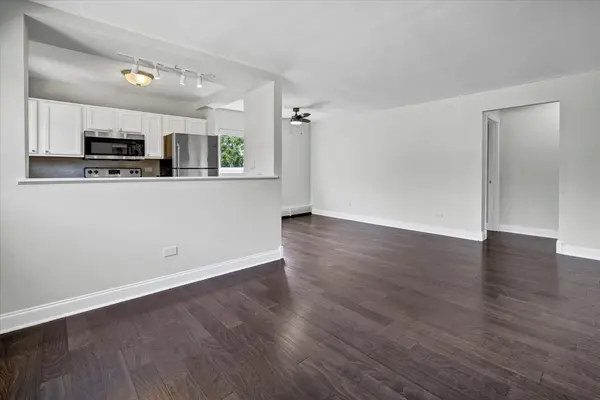 425 S Elmwood AVE #5, Oak Park, IL 60302