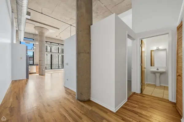 1934 N Washtenaw AVE #207, Chicago, IL 60647