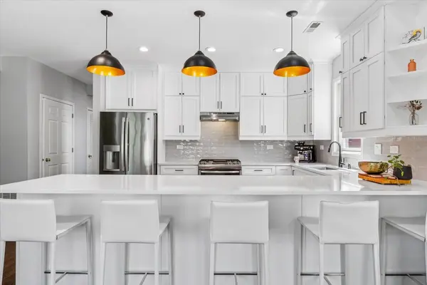 613 N Paulina ST #3, Chicago, IL 60622