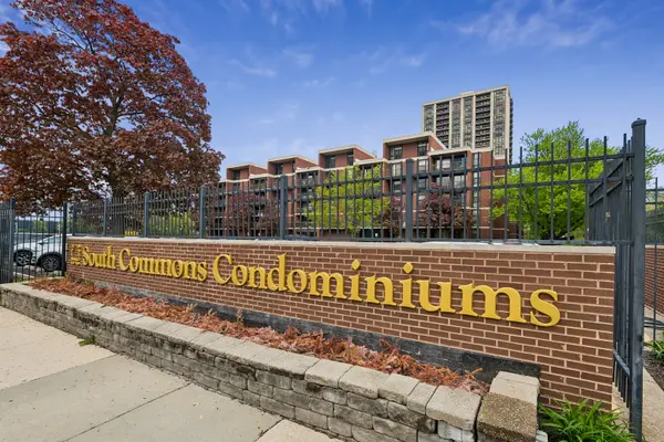 3001 S Michigan AVE #2105, Chicago, IL 60616