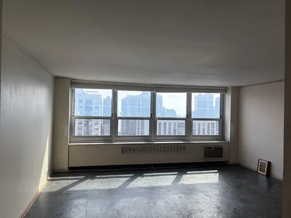 1255 N Sandburg TER #2304E, Chicago, IL 60610