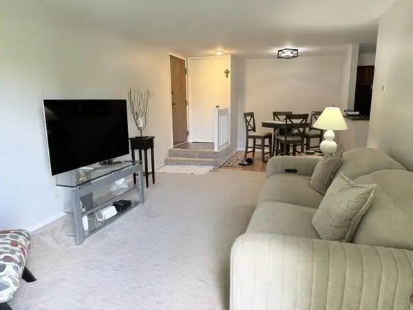 1573 Raymond DR #102, Naperville, IL 60563