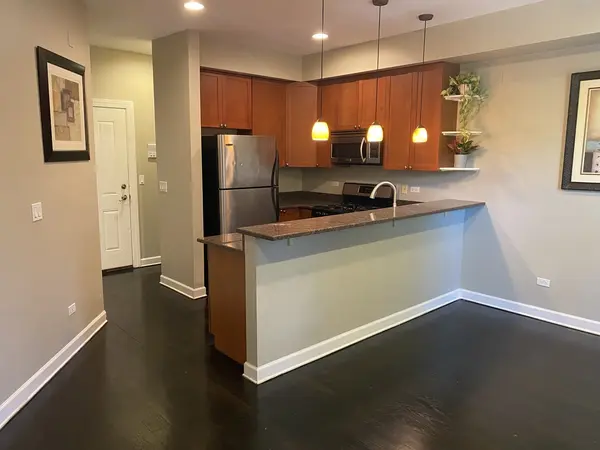 1900 W Byron ST #2, Chicago, IL 60618