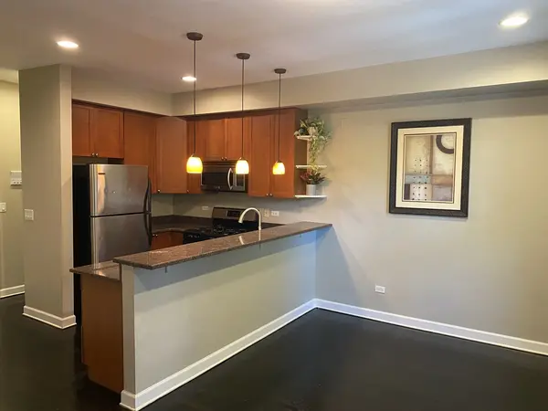 1900 W Byron ST #2, Chicago, IL 60618
