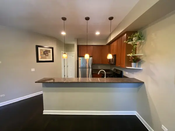 1900 W Byron ST #2, Chicago, IL 60618