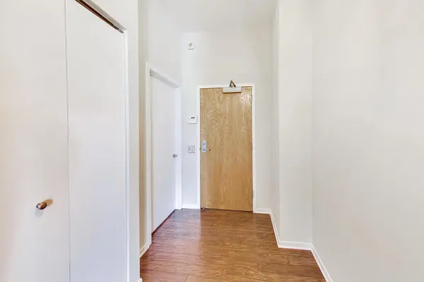 1631 S MICHIGAN AVE #506, Chicago, IL 60616