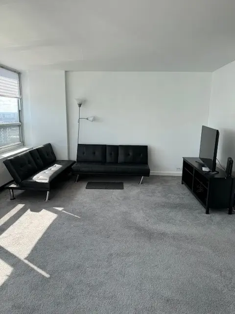 4800 S Chicago Beach DR #2710N, Chicago, IL 60615