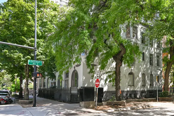 849 N Dearborn ST, Chicago, IL 60610