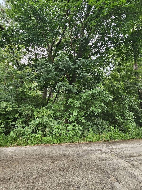 35 Ridgeland AVE, Fox Lake, IL 60020