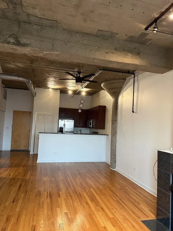 1071 W 15TH ST #314, Chicago, IL 60608