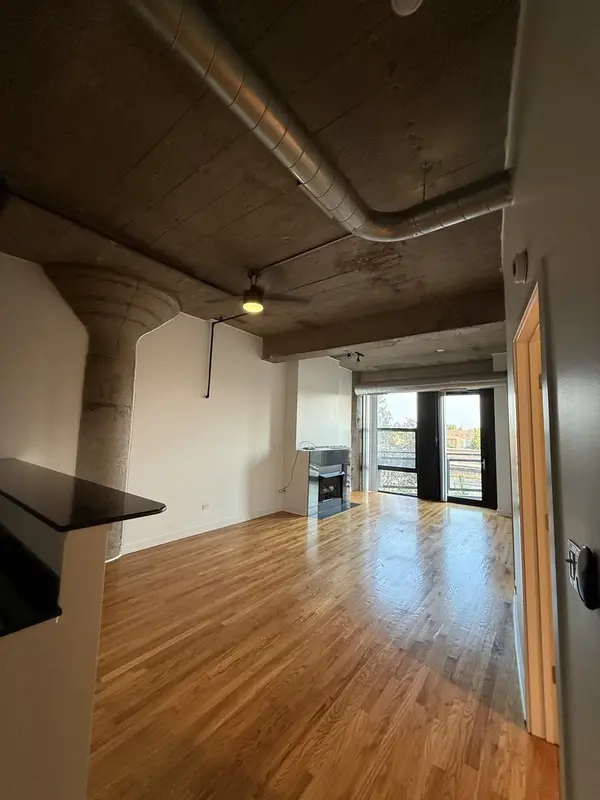 1071 W 15TH ST #314, Chicago, IL 60608