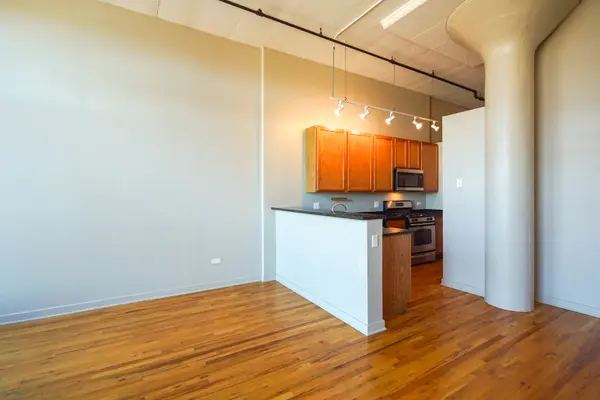 1224 W Van Buren ST #517, Chicago, IL 60607