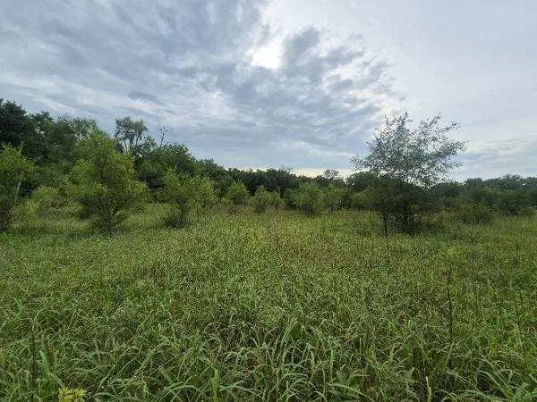 lot 1 S Irish LN, Custer Park, IL 60481