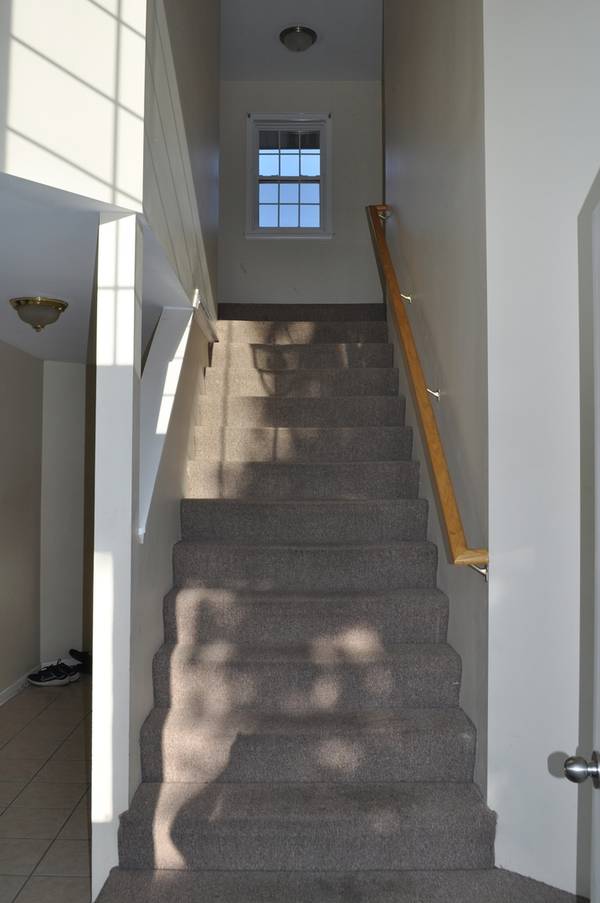 223 S Rush ST #2D, Itasca, IL 60143