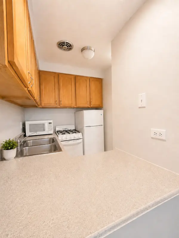 510 W Fullerton Pkwy #302, Chicago, IL 60614