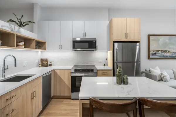 111 W Illinois ST #1005, Chicago, IL 60654