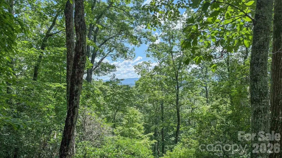 TBD Stone DR #L40, Brevard, NC 28712