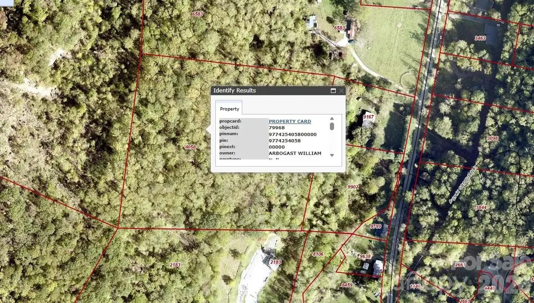 99999 Paint Fork RD, Barnardsville, NC 28709