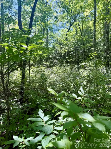 TBD Indian Lake RD #32, Lake Toxaway, NC 28747
