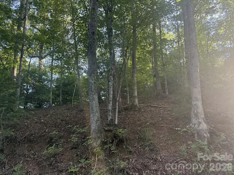 0 Canterbury RD, Cullowhee, NC 28723