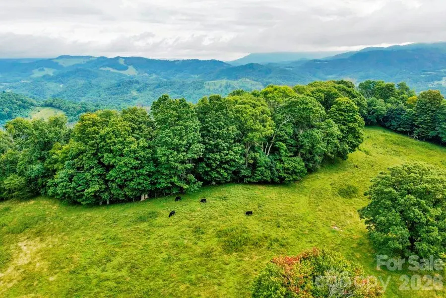 tbd Vaughn Potter RD, Zionville, NC 28698
