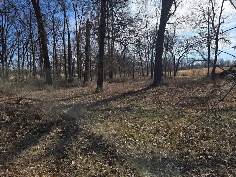 Tract B NW County Rd 17402 N/A, Archie, MO 64725