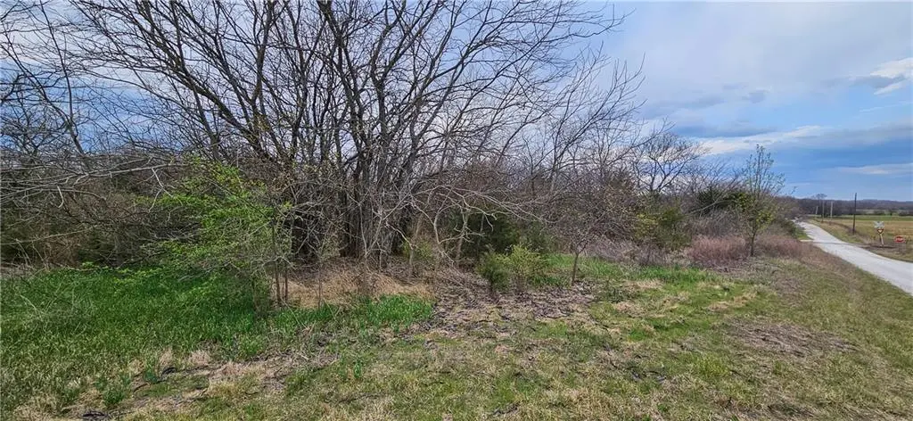 S State Route D HWY, Drexel, MO 64742