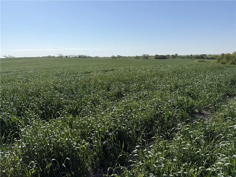TBD H HWY, Darlington, MO 64438