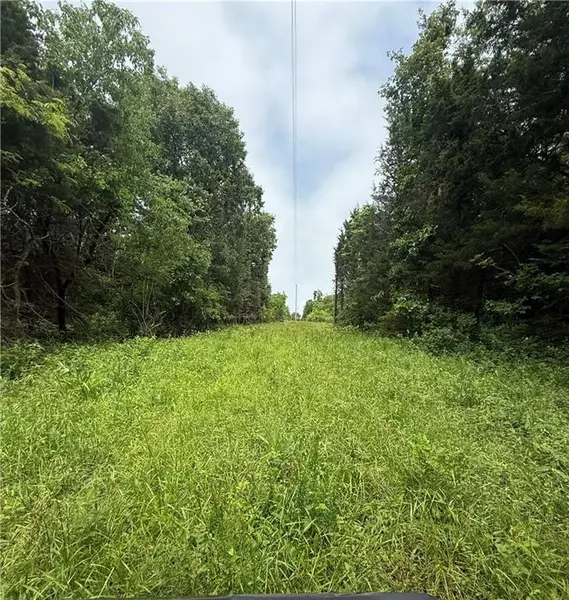 SE 1100 RD, Deepwater, MO 64760