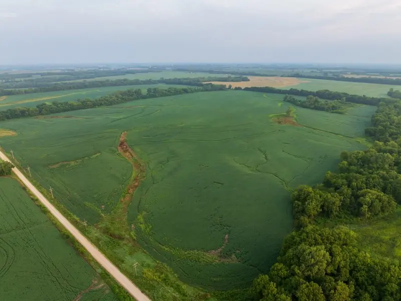TBD Tract 2 SW 1300th RD, Chilhowee, MO 64733