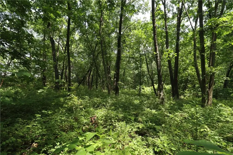36 E 1200th RD, Baldwin City, KS 66006