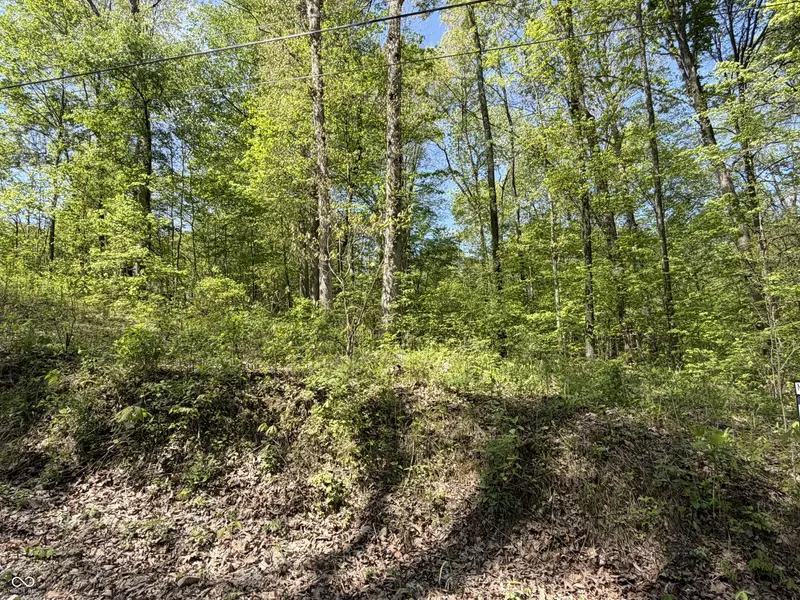00 Straight Line RD, Coal City, IN 47427
