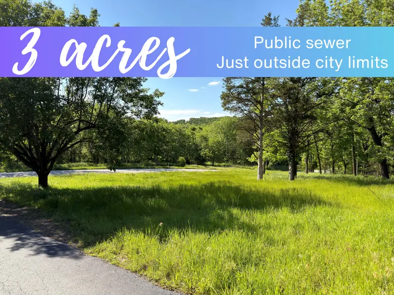 000 Fi Anna LN, Ozark, MO 65721