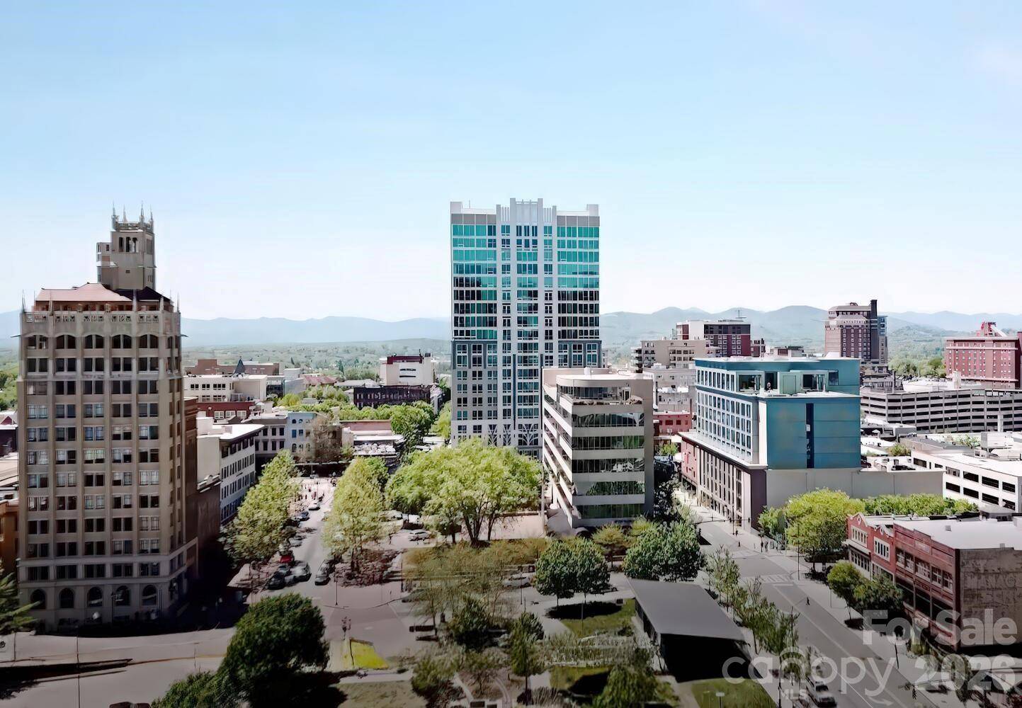 7 Patton AVE #1103, Asheville, NC 28801