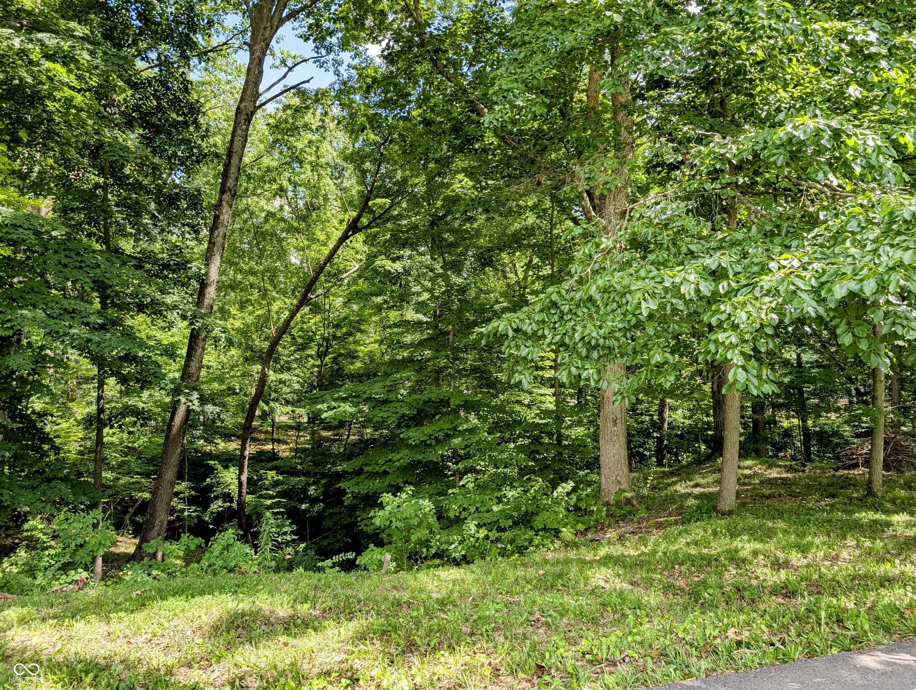 0 S Cove RD, Martinsville, IN 46151